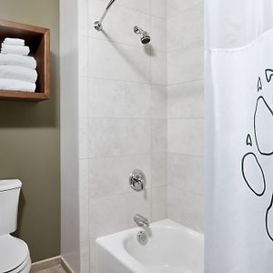 Luxury King Suite Water Park